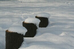 雪よこやま2.jpg