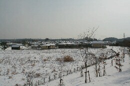 雪よこやま3.jpg