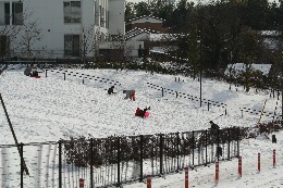 雪よこやま5.jpg