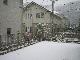 雪1月庭.jpg