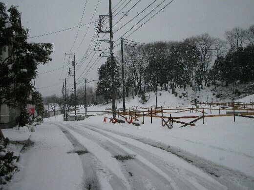 雪2月.jpg