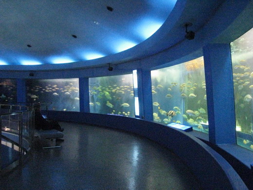 油壷水族館.jpg